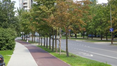 Dalyje Viršuliškių gatvės planuojama įrengti dviračių taką