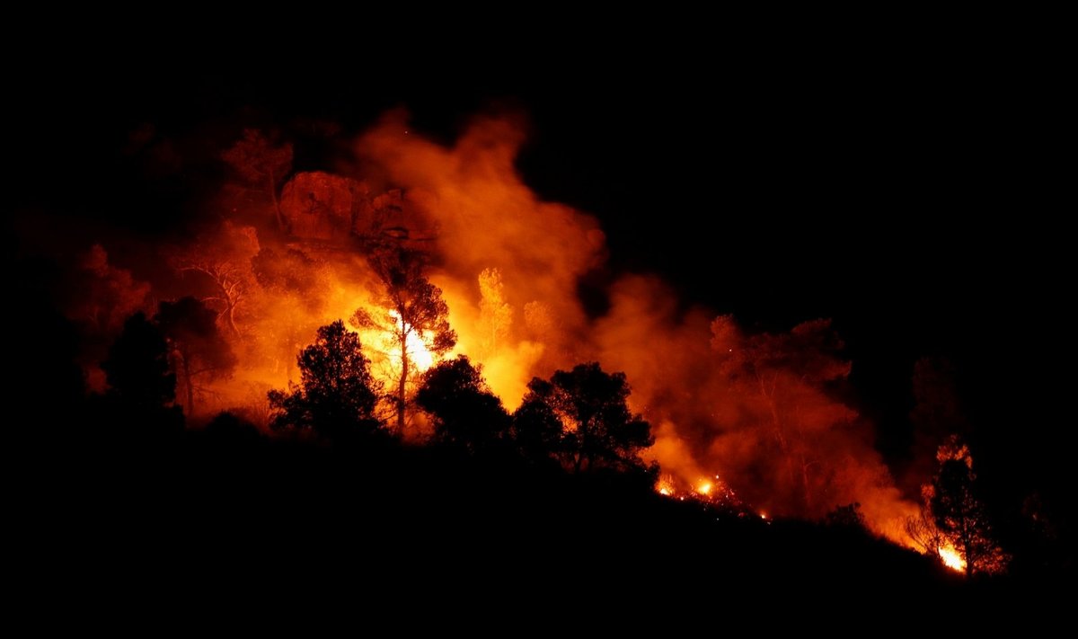 Kanarų salose siaučia miškų gaisras, evakuota tūkstantis žmonių