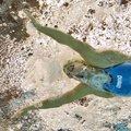 R. Meilutytė iš „auksinio“ Londono baseino išgriebė olimpinį kelialapį