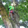 Ieškantiems adrenalino ir gamtos – dar neatrasta profesija medžiuose