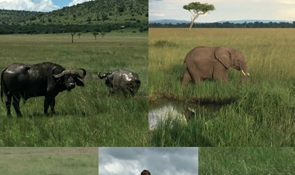 Ričardas Berankis Kenijoje ne tik ruošiasi sezonui, bet ir pažindinasi su Afrikos gamta