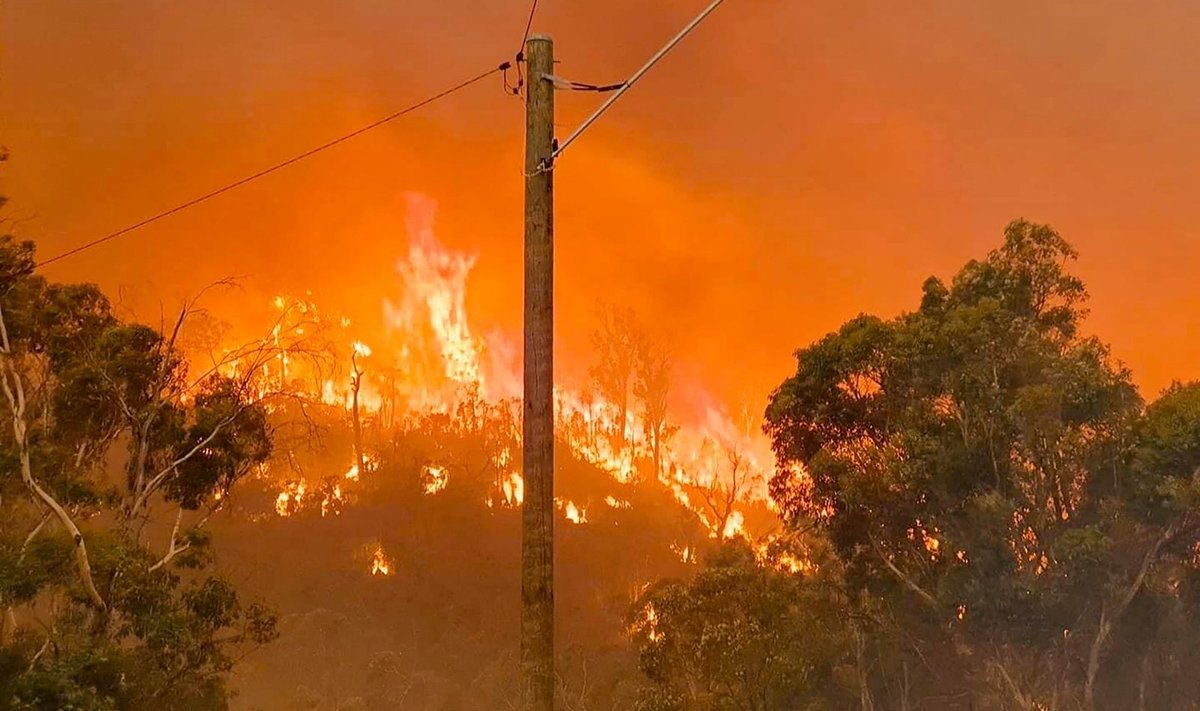 Australijoje per krūmynų gaisrą sudegė apie 30 namų