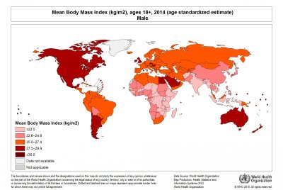 Globali svorio (KMI) statistika pagal PSO