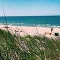 Климат меняется с угрожающей скоростью: через 40 лет пляжа в Паланге не останется