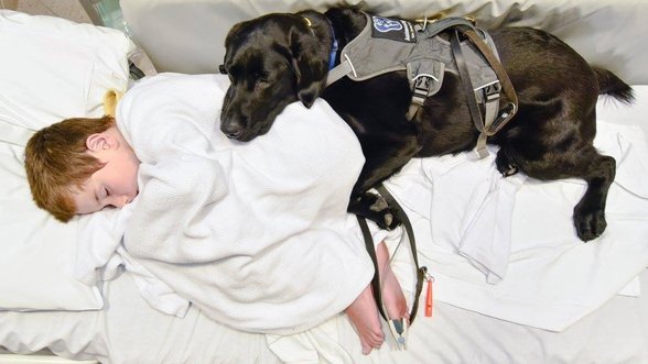 Ištikimas šuo nepaliko savo mažojo draugo net ligoninėje
