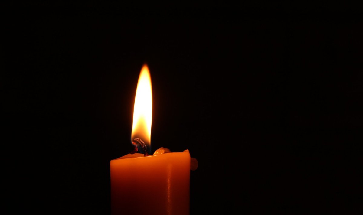 Žvakė