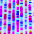 Ištyrę žmogaus genomą mokslininkai pagaliau atrado trūkstamas DNR grandinės dalis