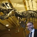 Berlyno muziejus pradėjo eksponuoti originalų tiranozauro skeletą