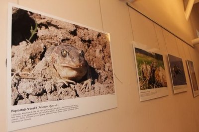 Varliagyvių ir roplių nuotraukų parodos atidarymas Lazdijuose