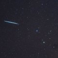 Per artimiausią savaitę meteorais lynos net dusyk