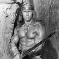Draugo išpažintis: A. Schwarzeneggeris turi nuosavą haremą