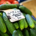 Ieškau ekonomisto, galinčio paaiškinti agurko kainą Lietuvoje