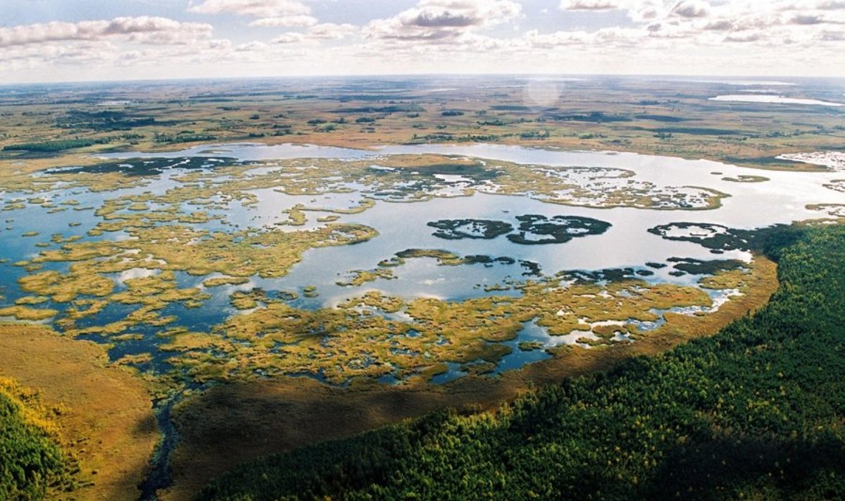 Žuvinto biosferos rezervate saugomas didžiausias Lietuvos pelkynas, apimantis 6940 ha