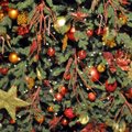 Japonijoje Kalėdų eglę įžiebia elektriniai unguriai