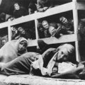 Šėtoniška schema Aušvico koncentracijos stovykloje: 24-ajame bloke – „atpildas“ vyrams