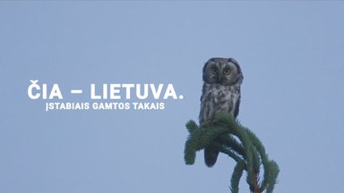 Čia – Lietuva. Įstabiais gamtos takais. 2 dalis
