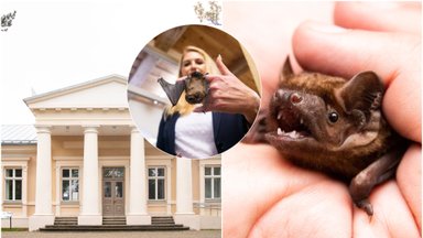 Į šią vietą žmonės vyksta pamatyti paslaptingų gyvūnų: niekur kitur Lietuvoje to nepatirsite