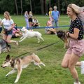 Gyvūnų gerovės dieną šunų augintojai kviečiami sudalyvauti bėgimo su savo keturkojais lenktynėse
