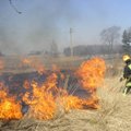 Žolės gaisrai niokoja šalį: lyderiaujančiame regione situacija prasta jau antrus metus