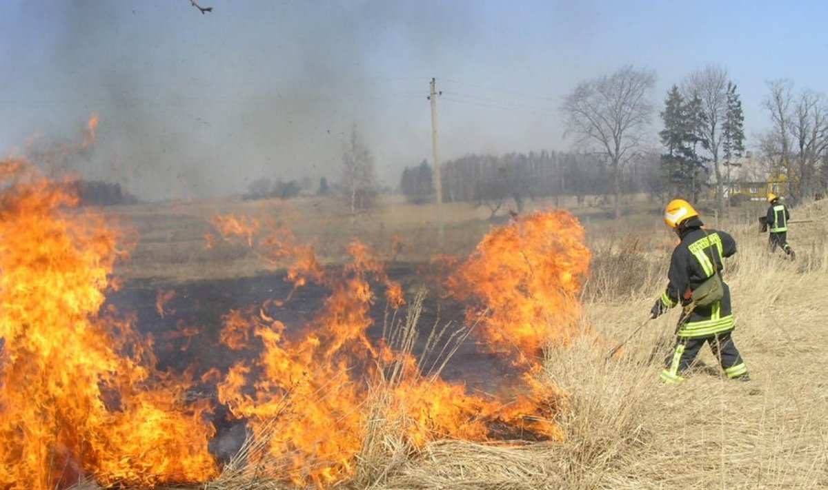 Pavasarį ugniagesiai turi daug vargo dėl deginamos žolės