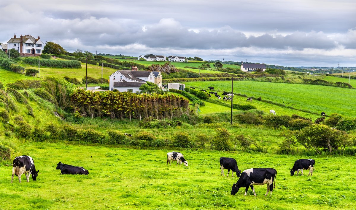 Airijos ūkis