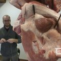 Menininkas Klaipėdoje kuria skulptūrinius objektus iš mėsos