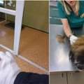 Rumšiškėse nukentėjo pareigūnas: šuo sukandžiojo rankas ir sudraskė augintinį