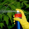 Plan to ban use of glyphosate in Lithuania