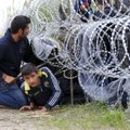 Migrantai toliau plūsta į Vengriją, policija panaudojo ašarines dujas