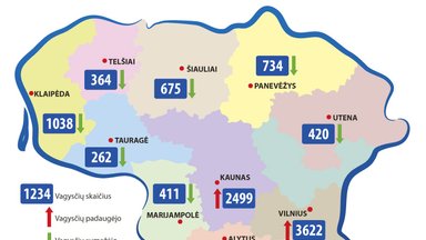 Vagysčių žemėlapis: kuriame Lietuvos mieste gyventi neramiausia?