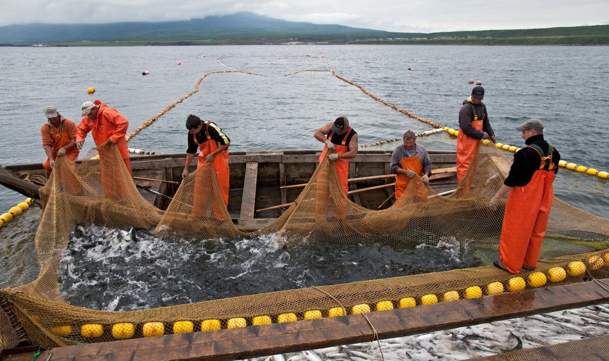 Rusų žvejai prie Kurilų salų
