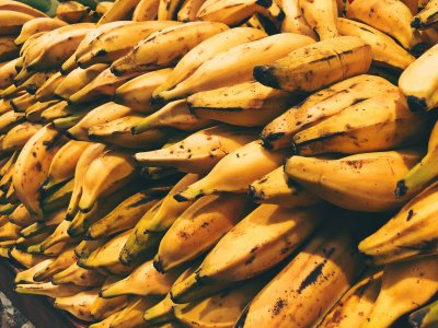 Plantano rūšies bananai