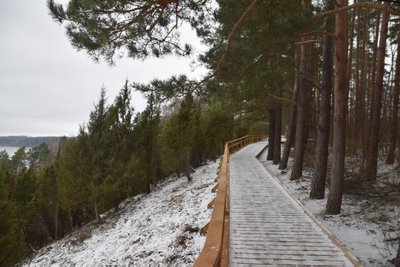 Arlaviškių kadagynas Evaldo Makricko nuotr.