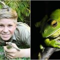 Krokodilų gaudytojo sūnus seka tėvo pėdomis: berniuko nuotraukos stebina pasaulį