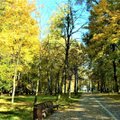 Tvarkyti Ąžuolyno parką Kaune tikimasi pradėti rudenį