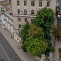 Žiniasklaida: nuspręsta, ką daryti su medžiais J. Basanavičiaus gatvėje Vilniuje