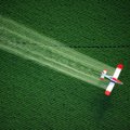 Paryžius ir keturi kiti didesni Prancūzijos miestai uždraudė pesticidų naudojimą