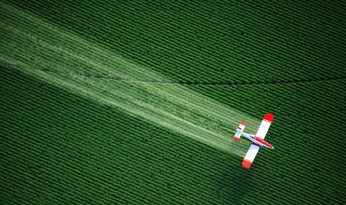 Pesticidais purškiamas laukas
