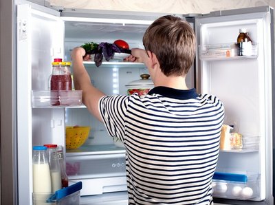 Dviduris šaldytuvas, anot specialistų, yra prabangos prekė