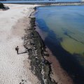 Lietuvos paplūdimius tyrę mokslininkai nenudžiugino: dumbliai išdavė, kas iš tiesų slypi Baltijos jūroje