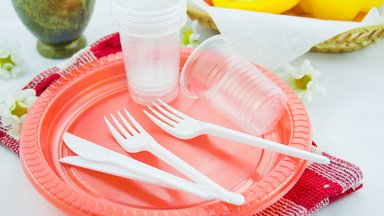 Евросоюз запретил одноразовую пластиковую посуду и ватные палочки