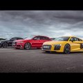 Kuris „Audi“ vertas galingiausio žiedų valdovo titulo – „R8 V10 Plus“, RS6, ar S8?