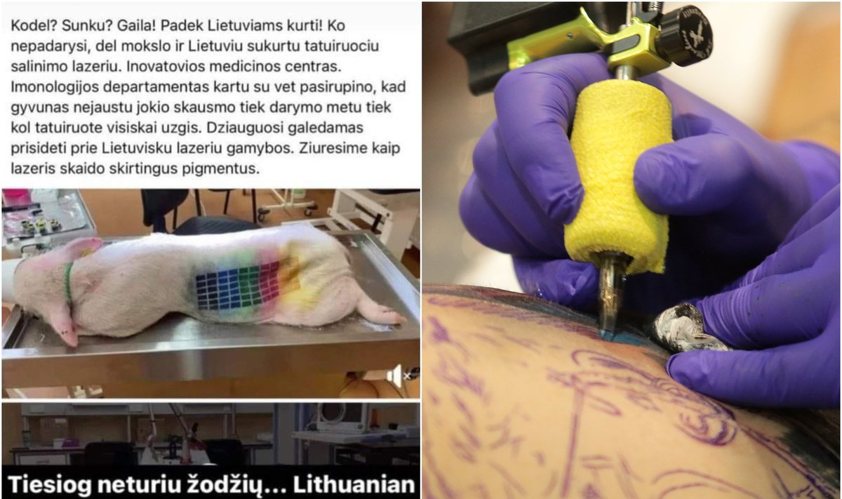 Bandymus su gyvūnu paviešinusio tatuiruočių meistro įrašas ir asociatyvi nuotr.