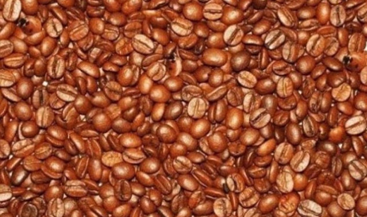 Įveiks ne kiekvienas: ar išvysite tai, kas slepiasi tarp kavos pupelių? 