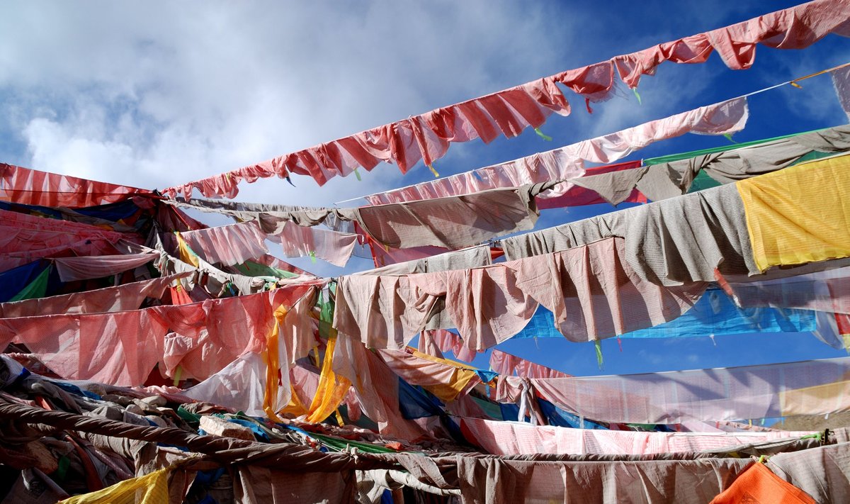 Maldos vėliavėlės, paplitusios Himalajuose, būdingos Tibeto budistams