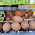 Einate pirkti kiaušinių – be šios lentelės galite suklysti