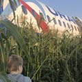 Netoli Maskvos kukurūzų lauke nusileidusį lainerį nutarta utilizuoti