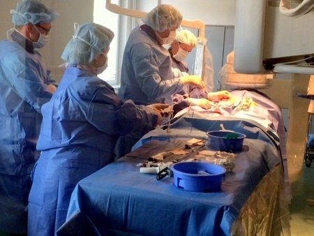 Aortos implantacija Panevėžio ligoninėje