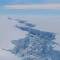 Tirpstantys Antarktidos ledynai atveria savo paslaptis