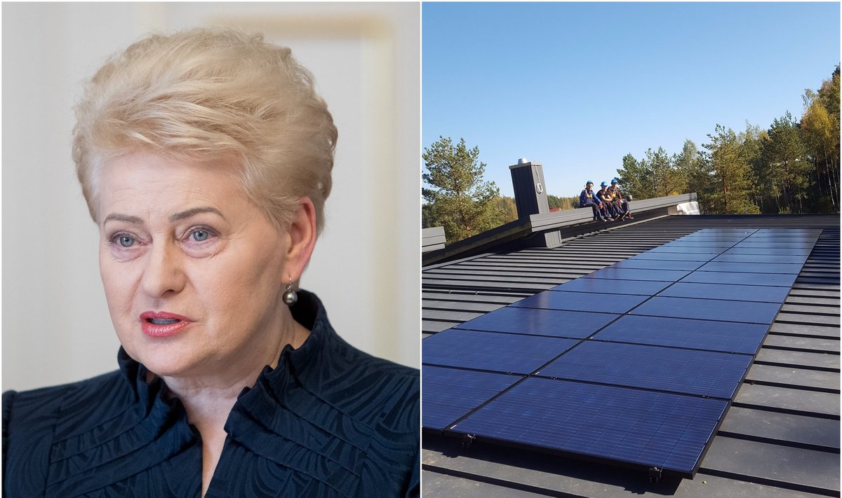 D. Grybauskaitės saulės elektrinė